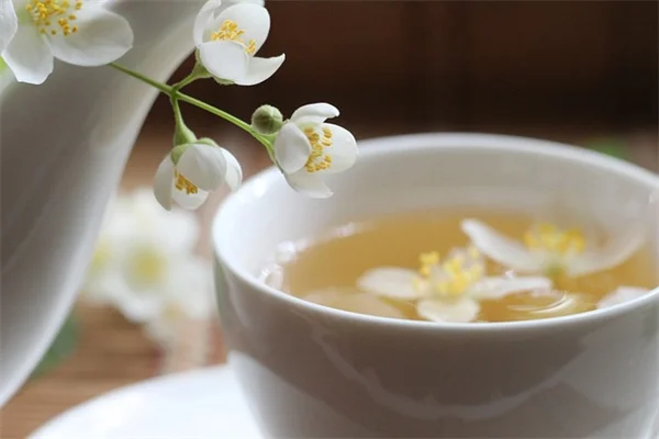 Basil Plant Uses: 7 Strange But Powerful Tricks
